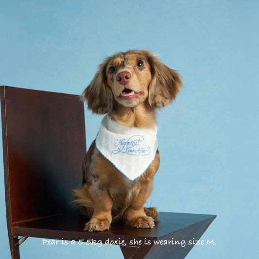 Happily Ever After Bandana -- Blue