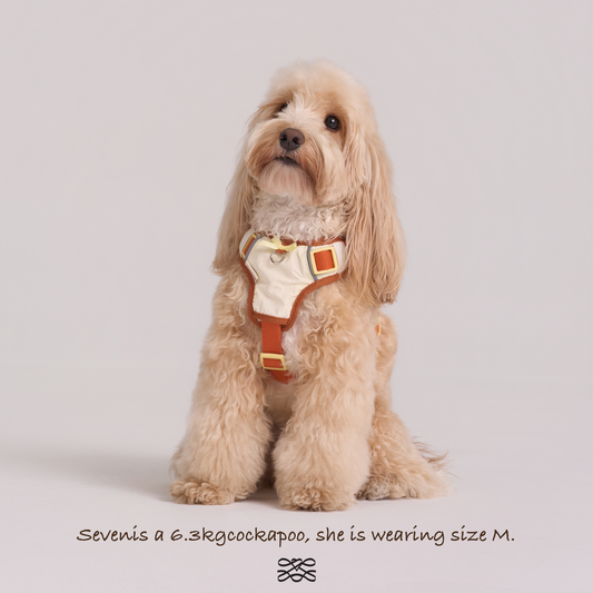 Chelsea Pumpkin Pie Harness--Beige / Dusty Orange