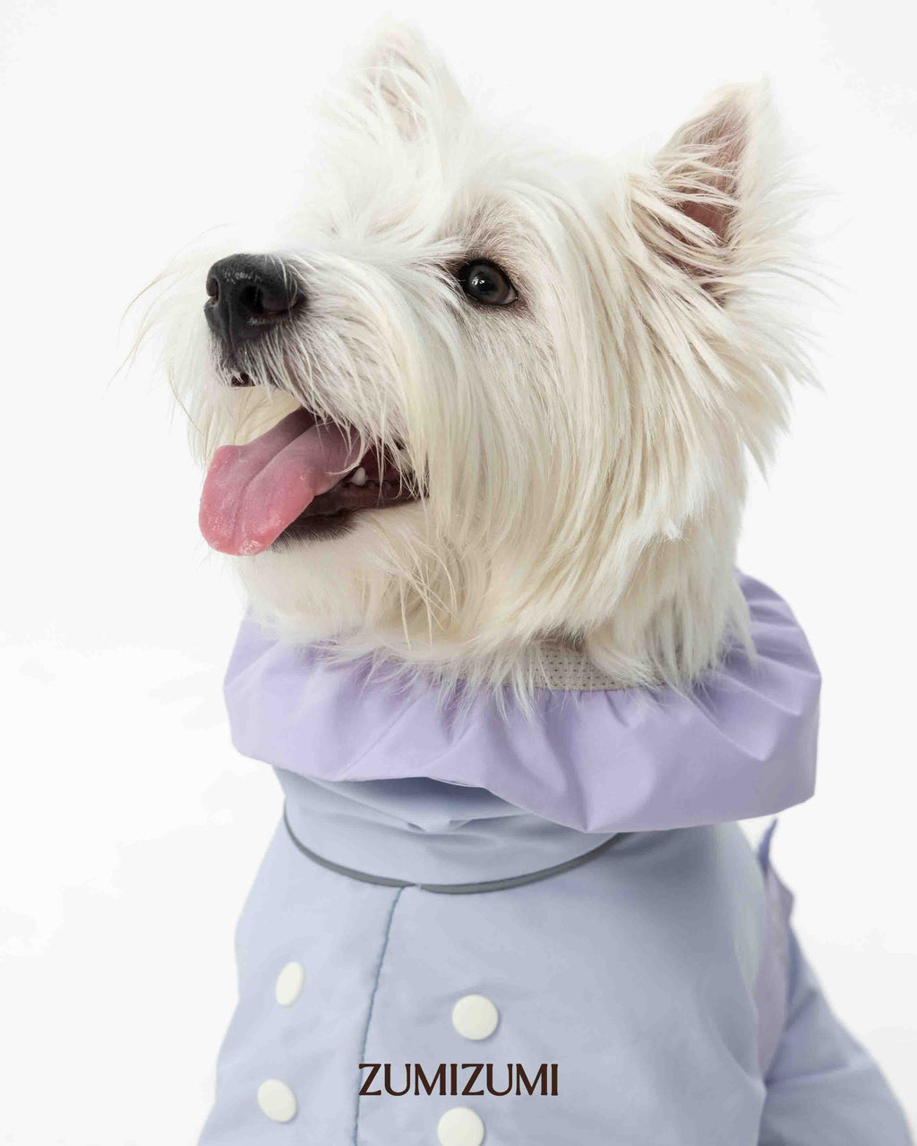 Raincoat -- Blue/Purple