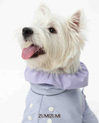 Raincoat -- Blue/Purple