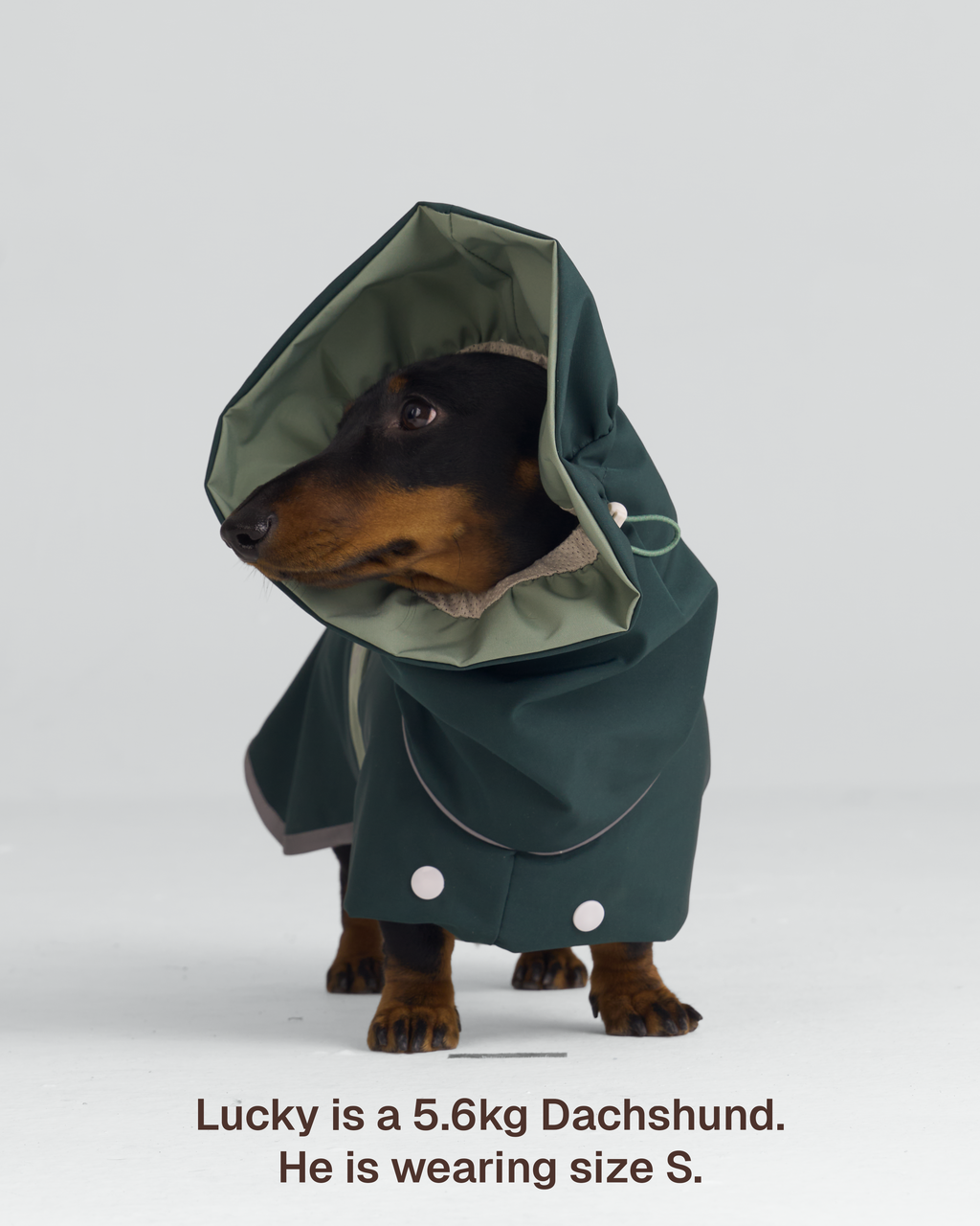 Raincoat -- Green