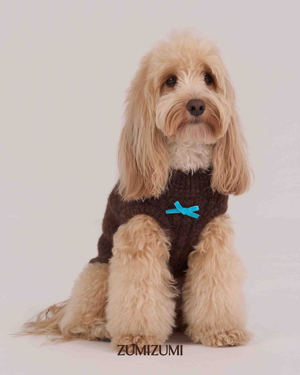 Knit Vest -- Brown/Light Blue