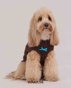 Knit Vest -- Brown/Light Blue