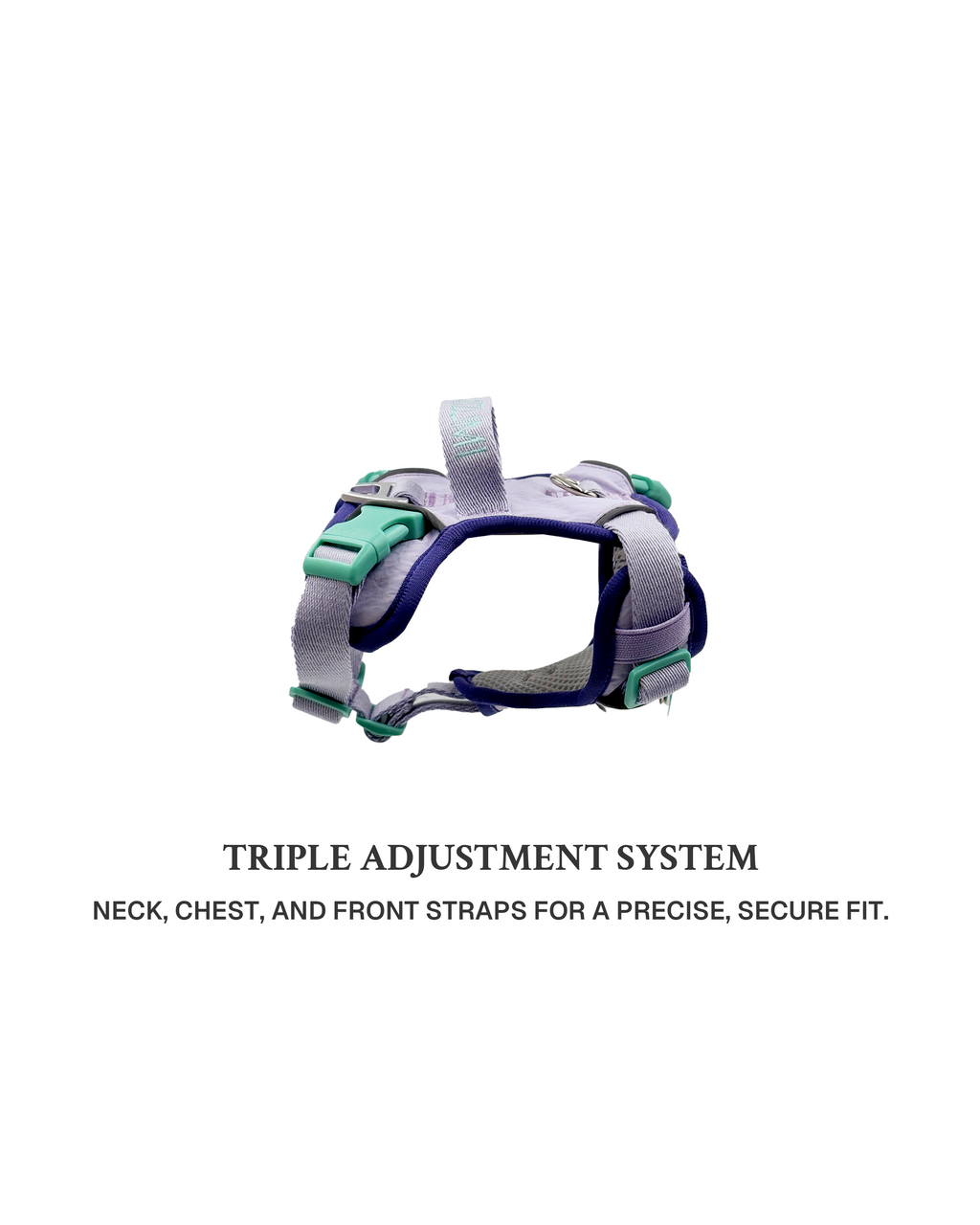 Harness -- Lavender/Navy