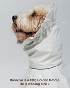 Raincoat -- Light Grey