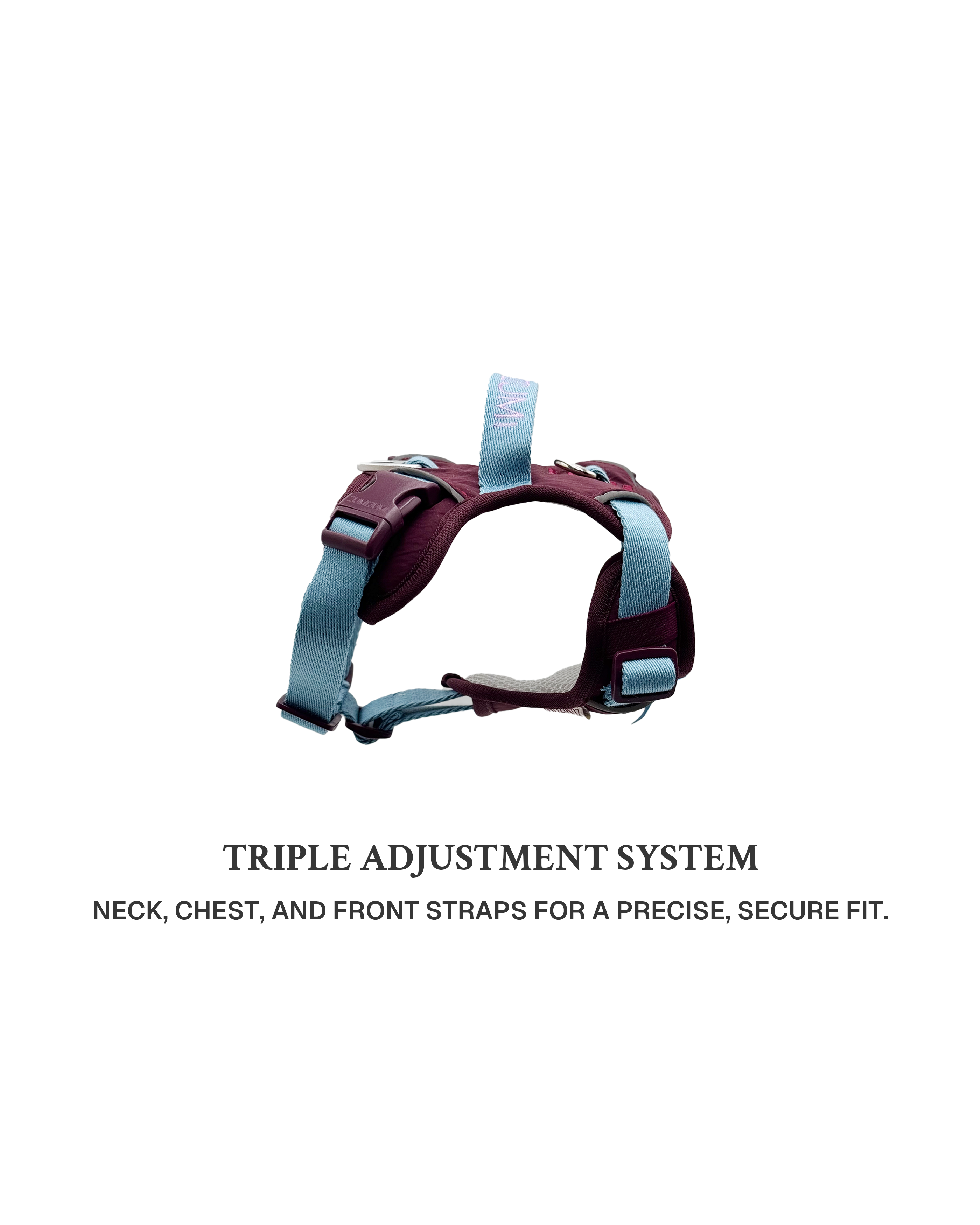 Harness -- Burgundy/Teal