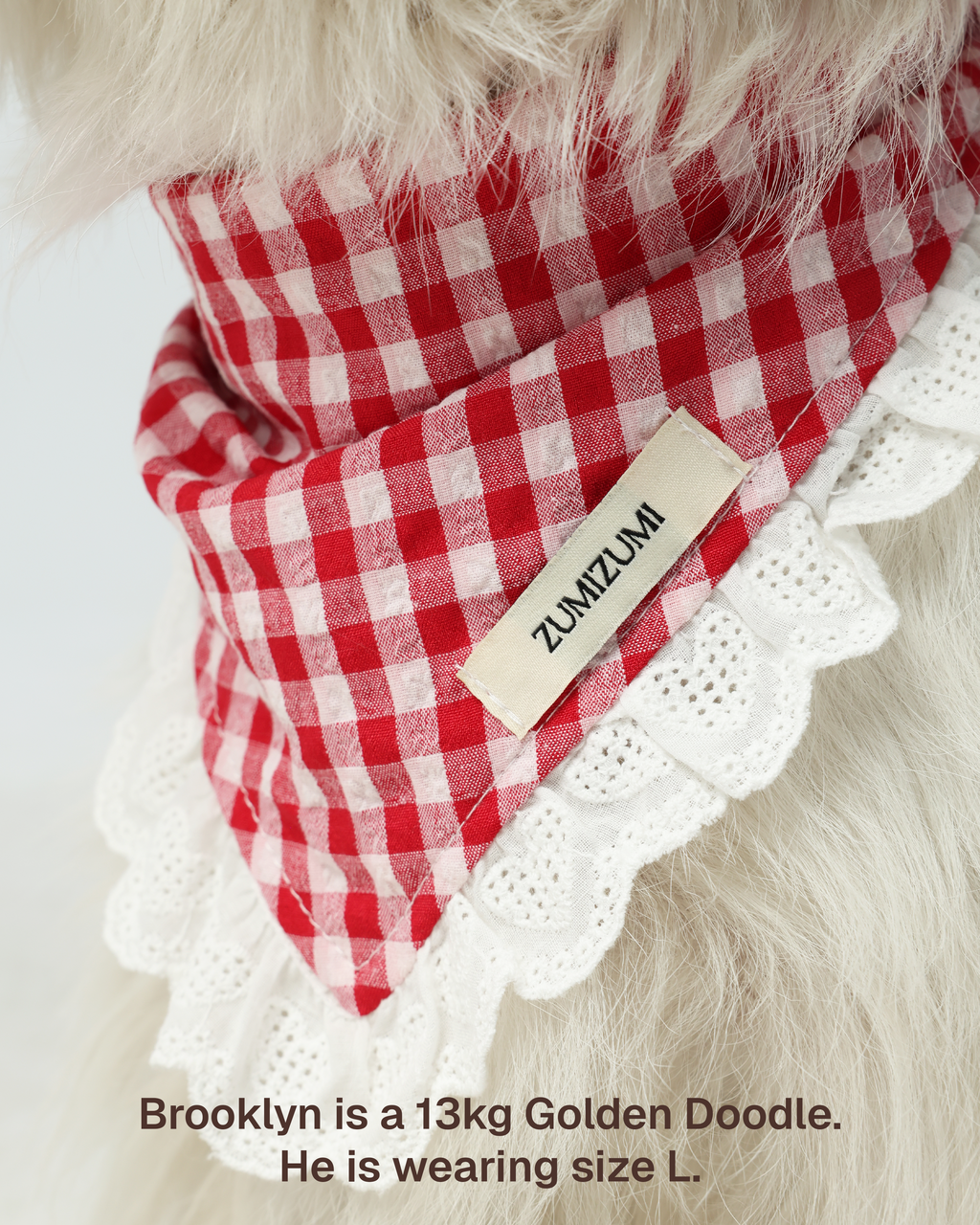 Bandana -- Red Gingham