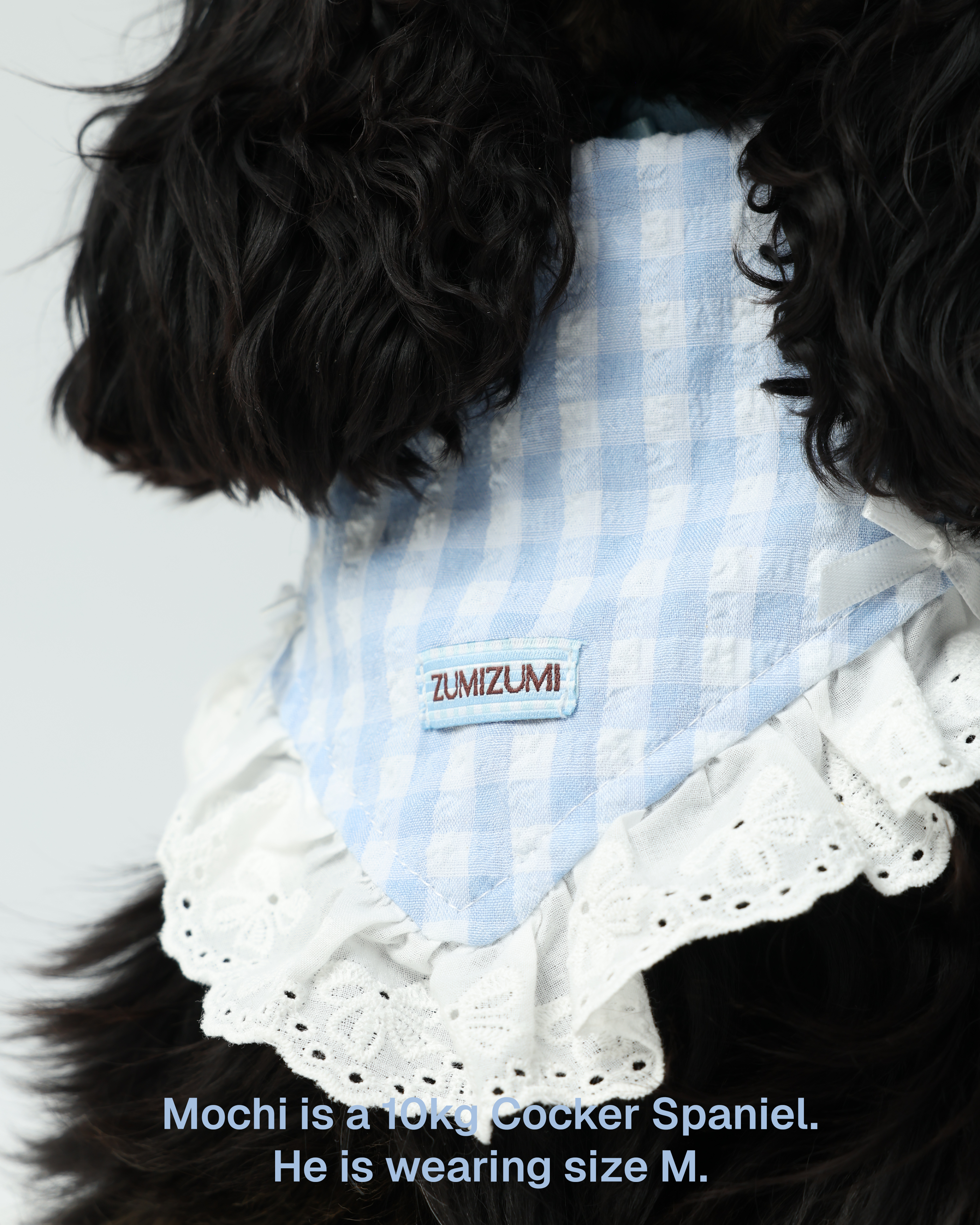 Bandana -- Blue Gingham