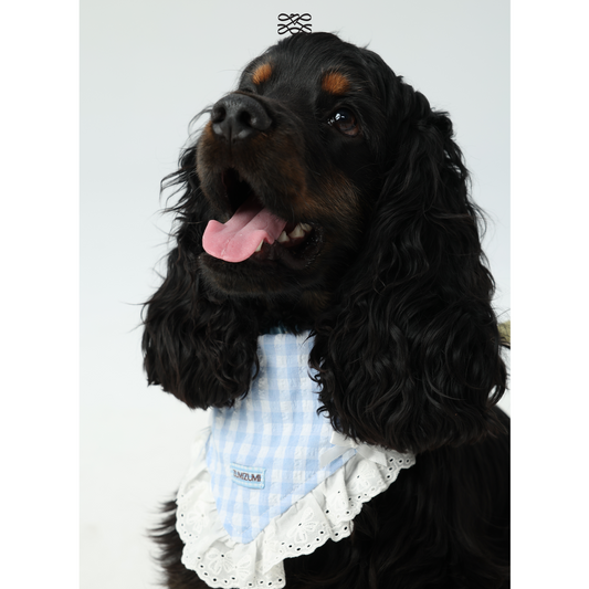 JAM Lace Bandana -- Blue Gingham