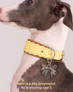 Collier en cuir festonné Mayfair -- Jaune/Marron
