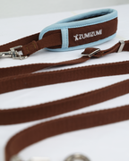 Hands-free Leash -- Brown/Blue