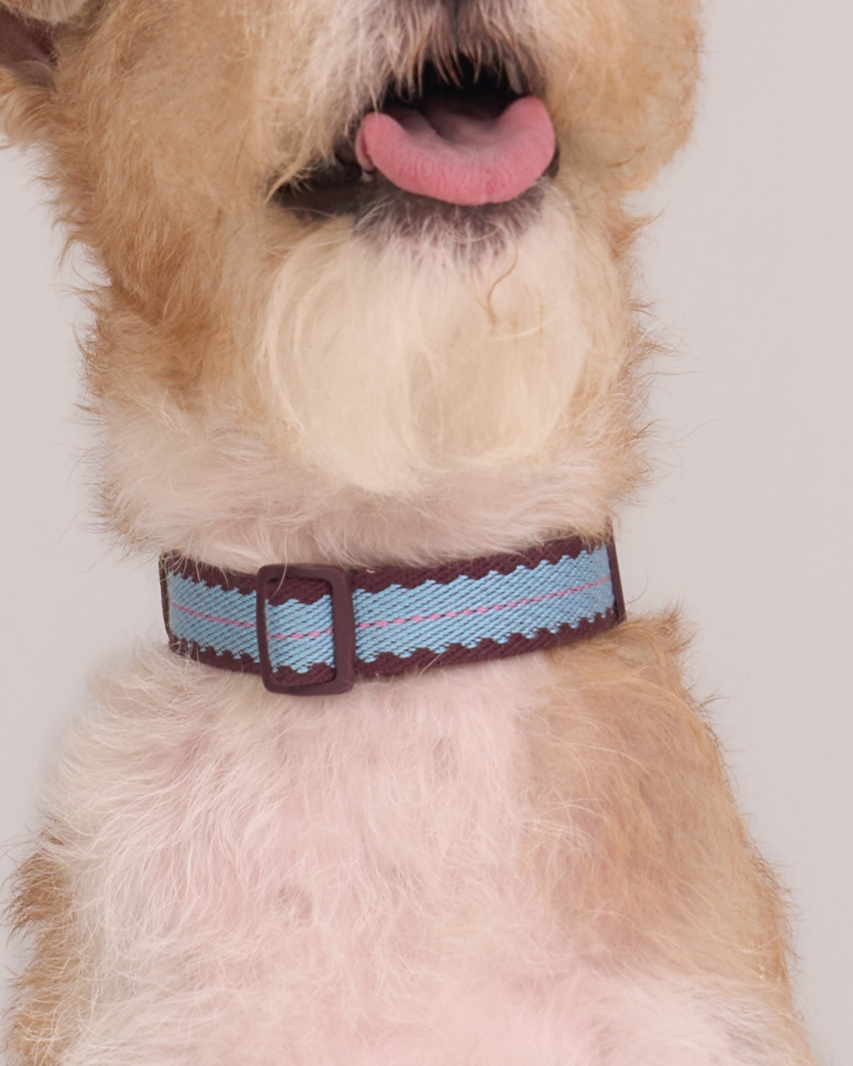 Collier de sécurité Cherry Biscuit -- Bordeaux/Turquoise/Rose lilas
