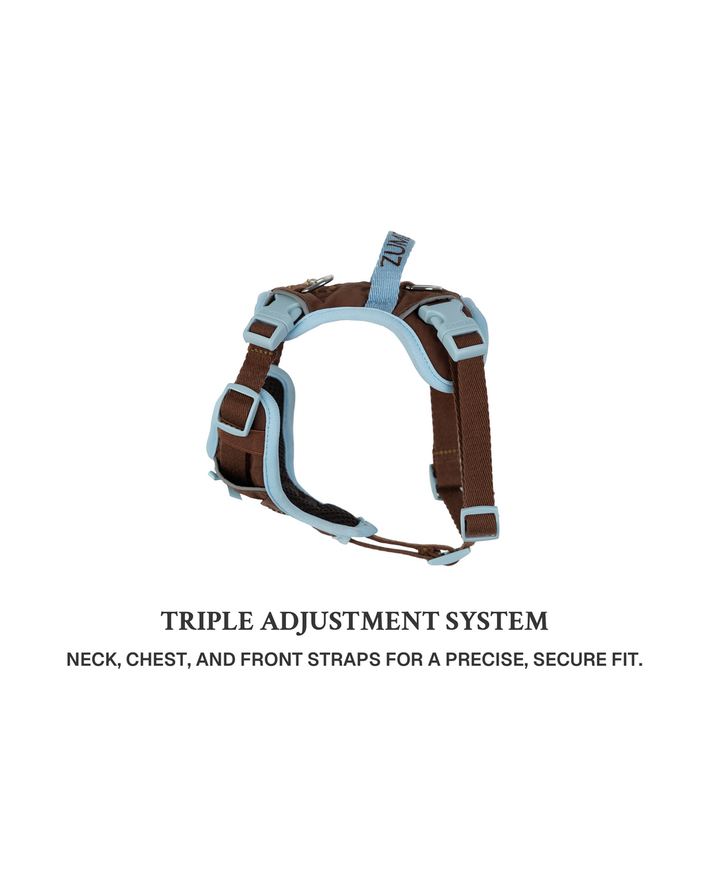 Harness -- Brown/Blue