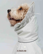 Raincoat -- Light Grey
