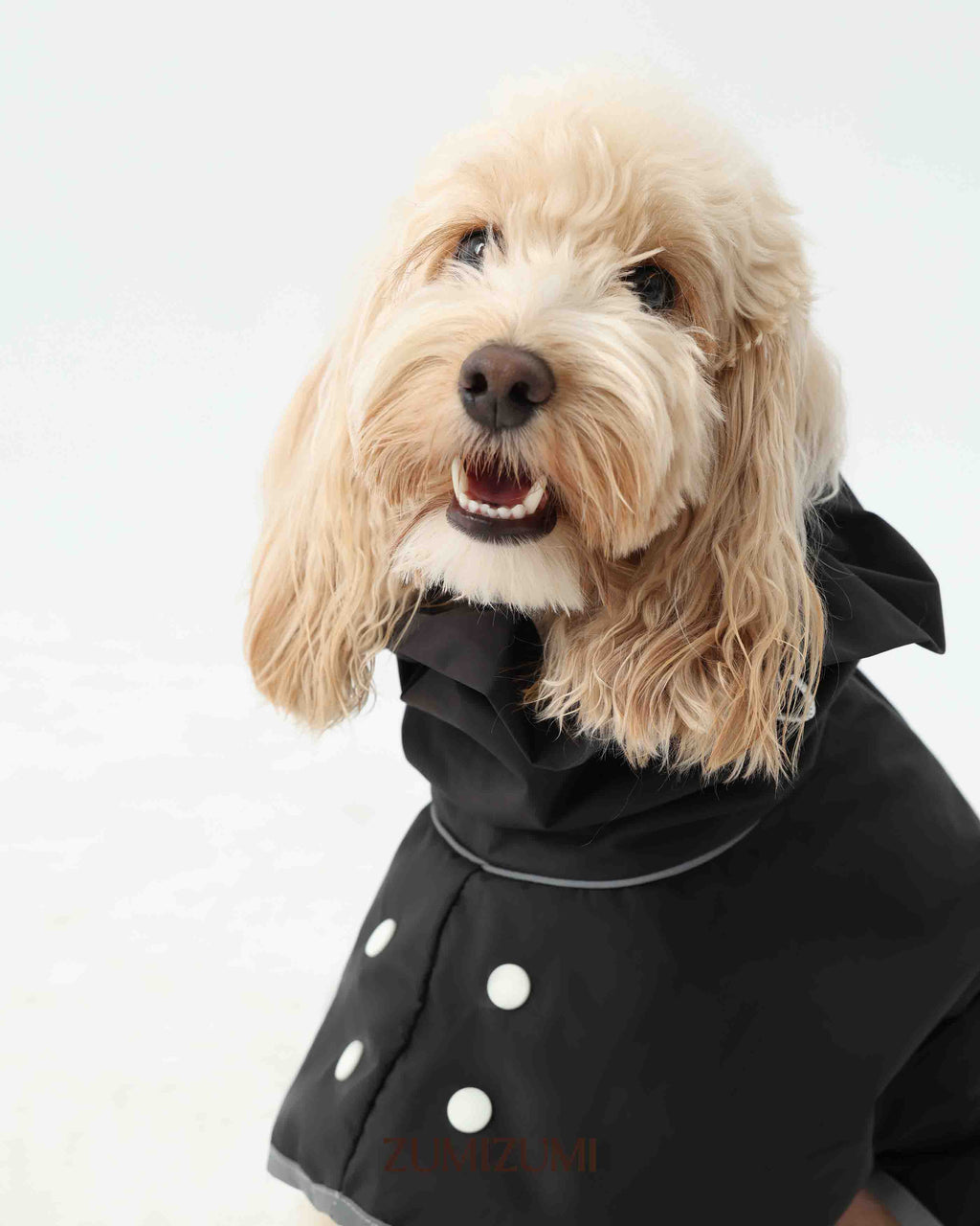 Raincoat -- Black