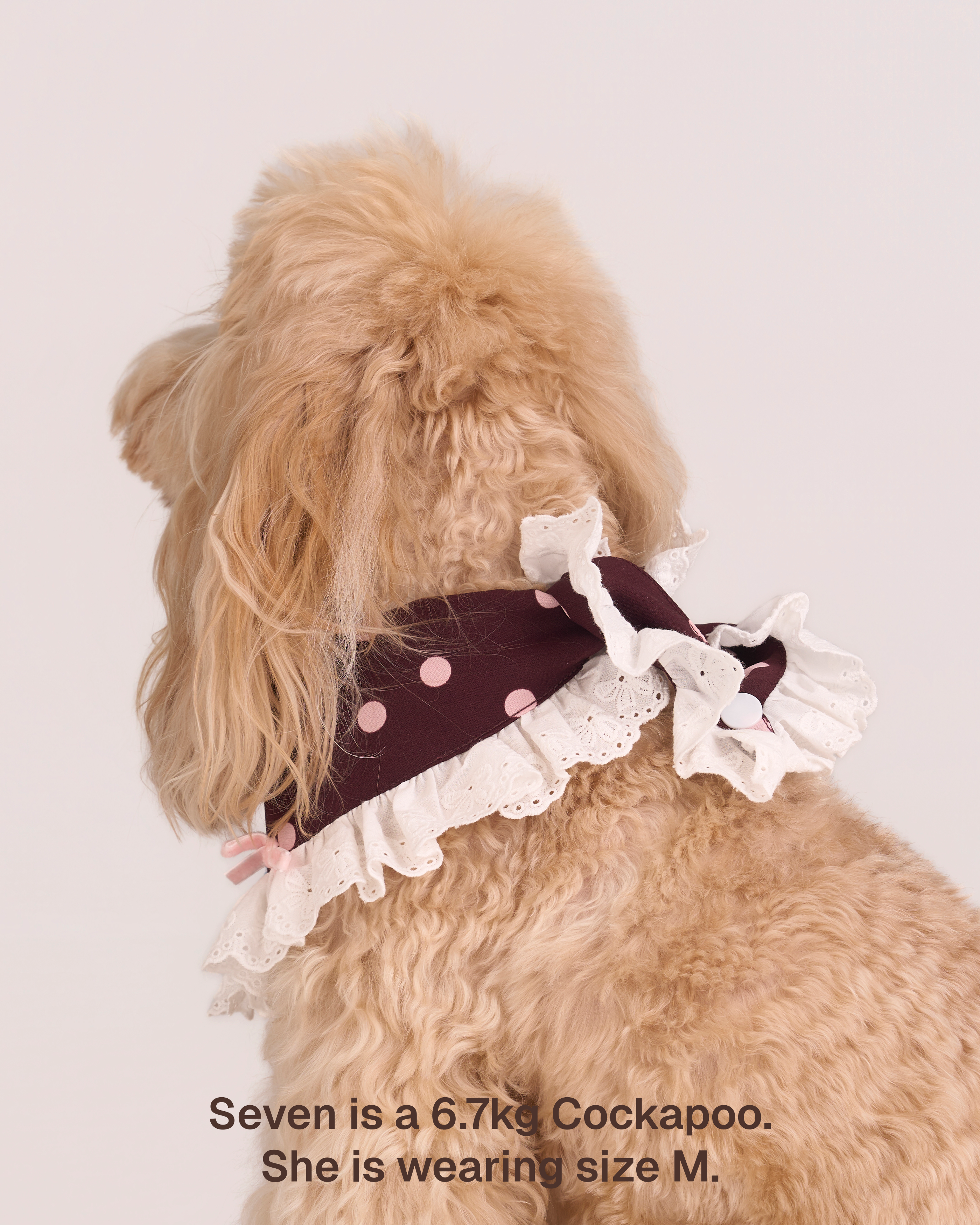 Bandana -- Burgundy/Pink