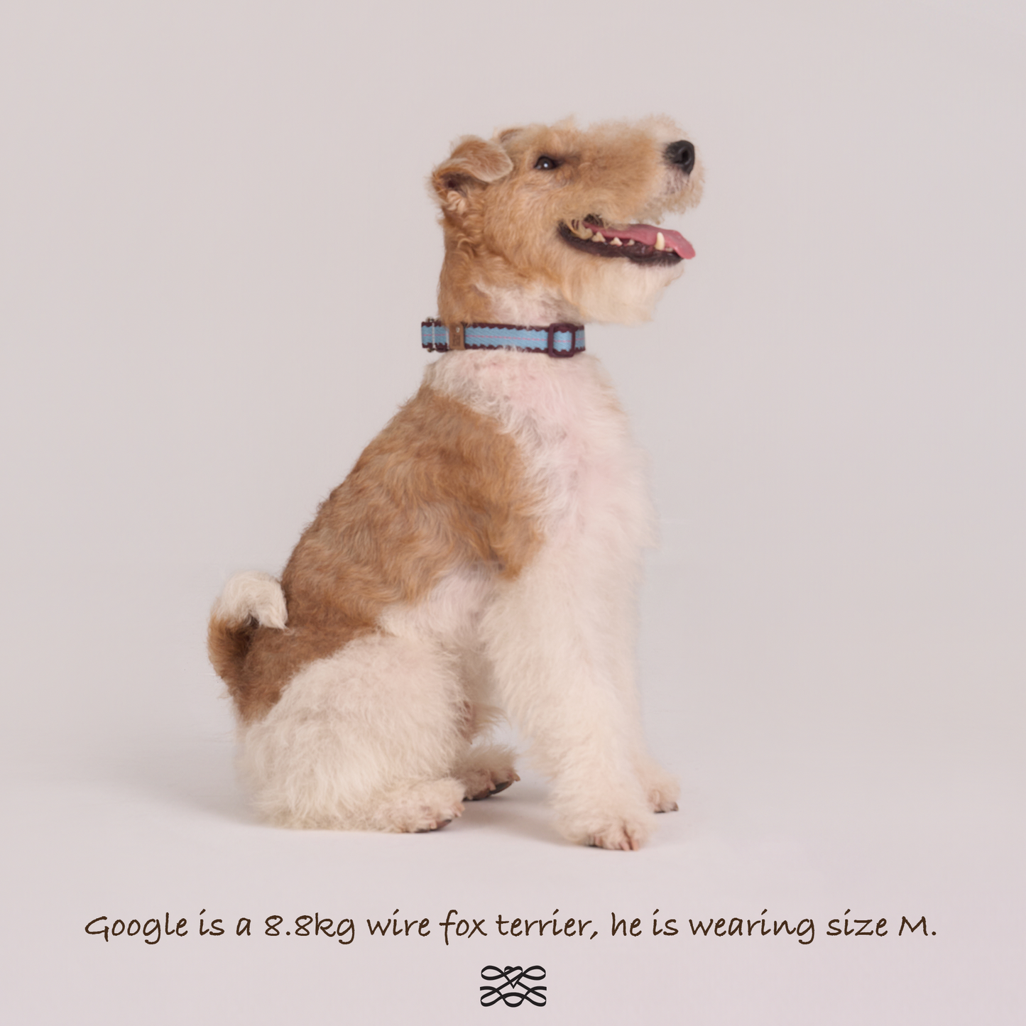 Cherry Biscuit Safety Collar -- Burgundy/ Teal/ Lilac Pink