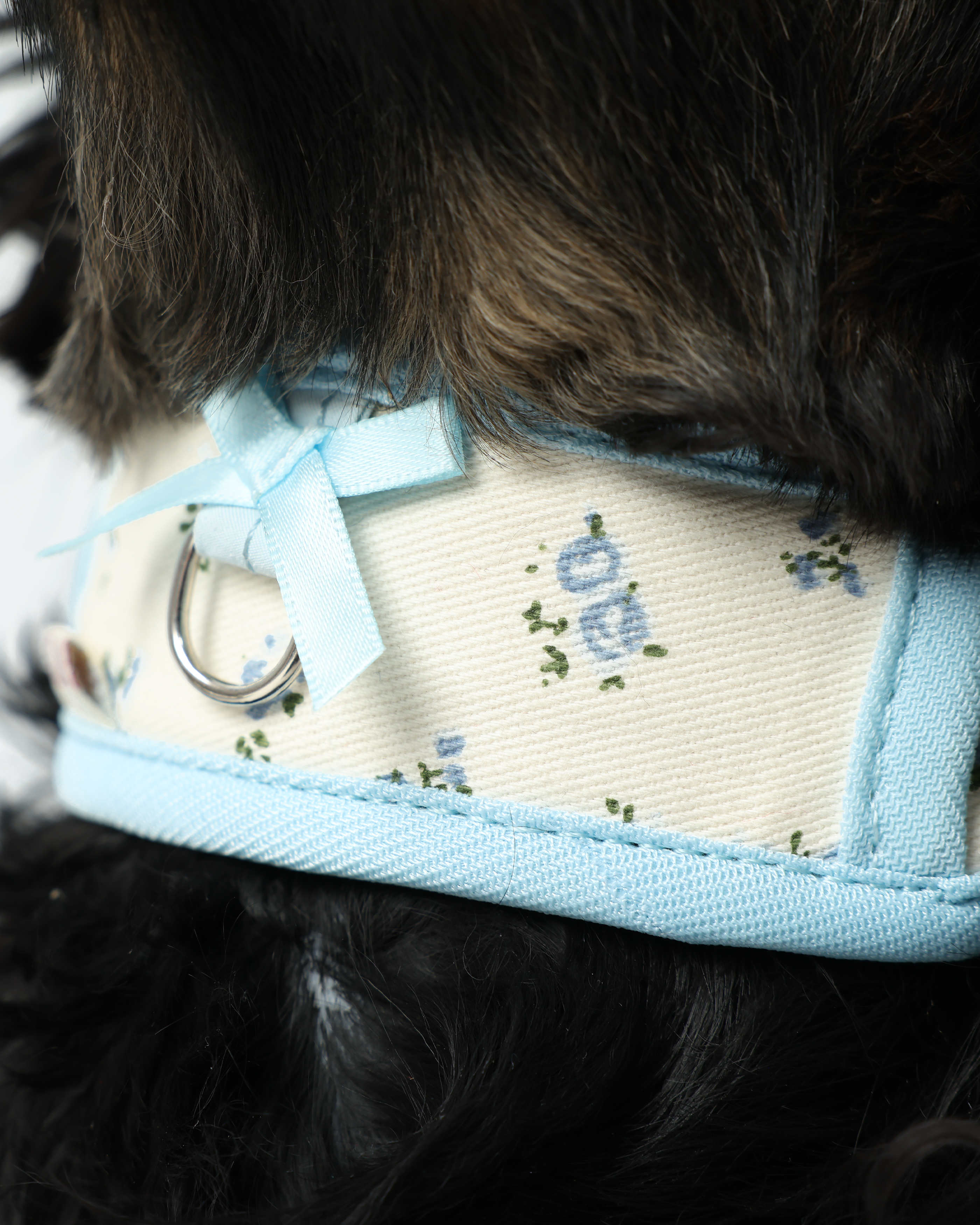 Col Chelsea Everyday - Floral