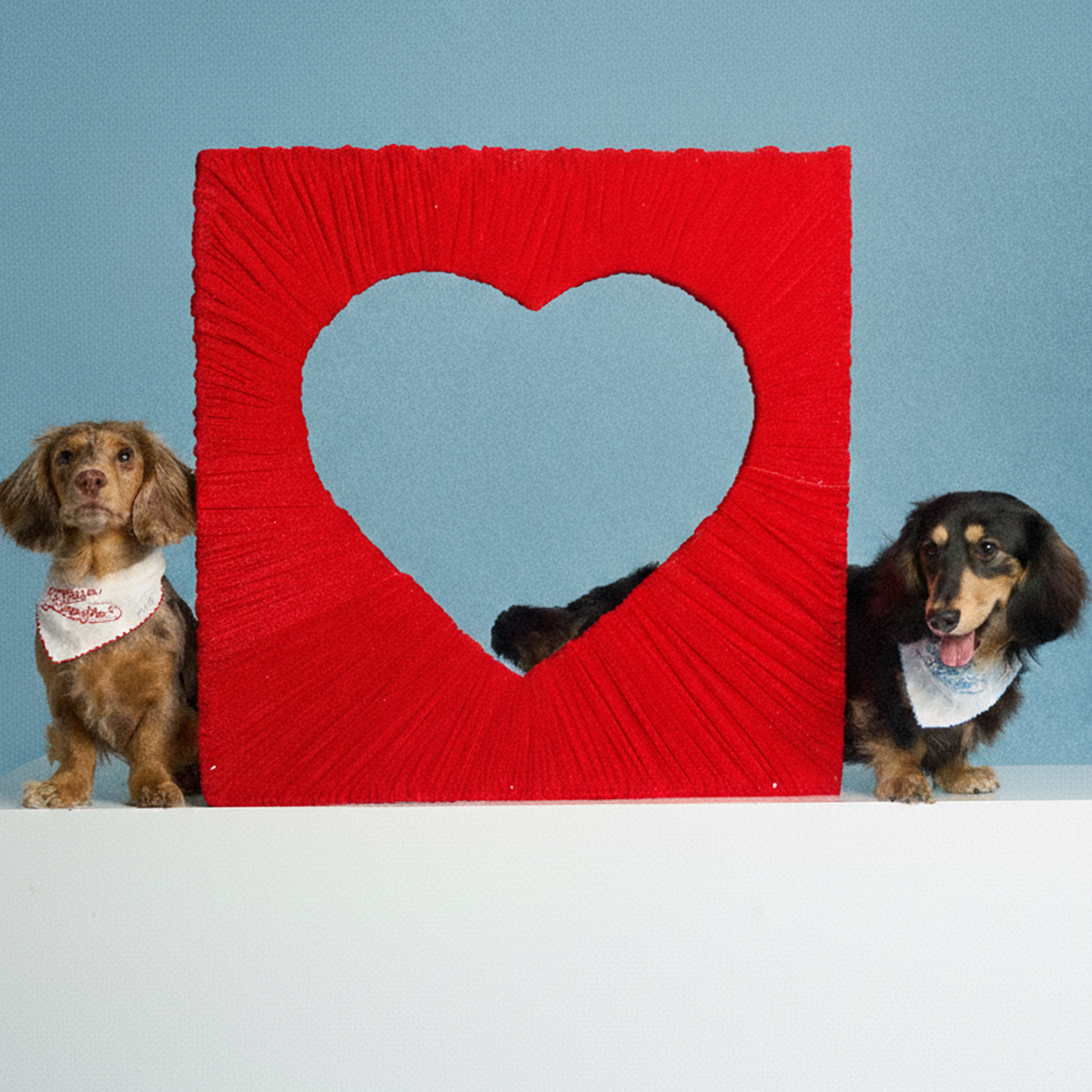 Happily Ever After Bandana -- Blue