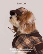 Detective Cap -- Brown/Beige