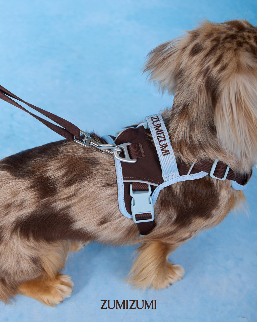Harnais Chelsea Everyday Sporty en forme de H - Marron et bleu 