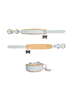 Leather Collar -- Blue/Brown