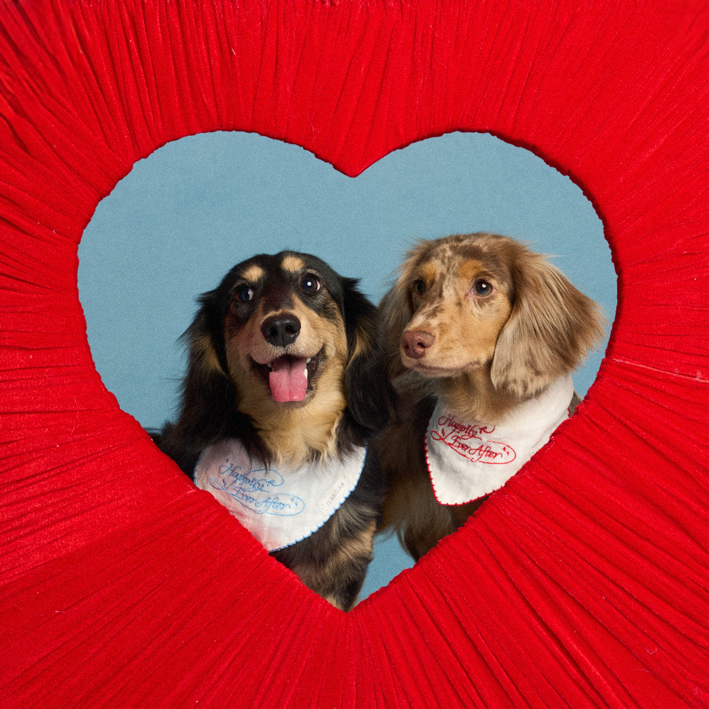 Happily Ever After Bandana -- Blue