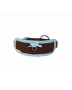 Collar -- Brown/Blue