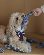 Toy -- Knotted Rope