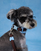 Col Chelsea Everyday - Marron et bleu