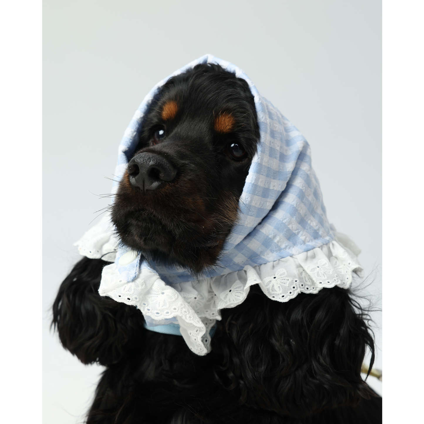 JAM Lace Bandana -- Blue Gingham