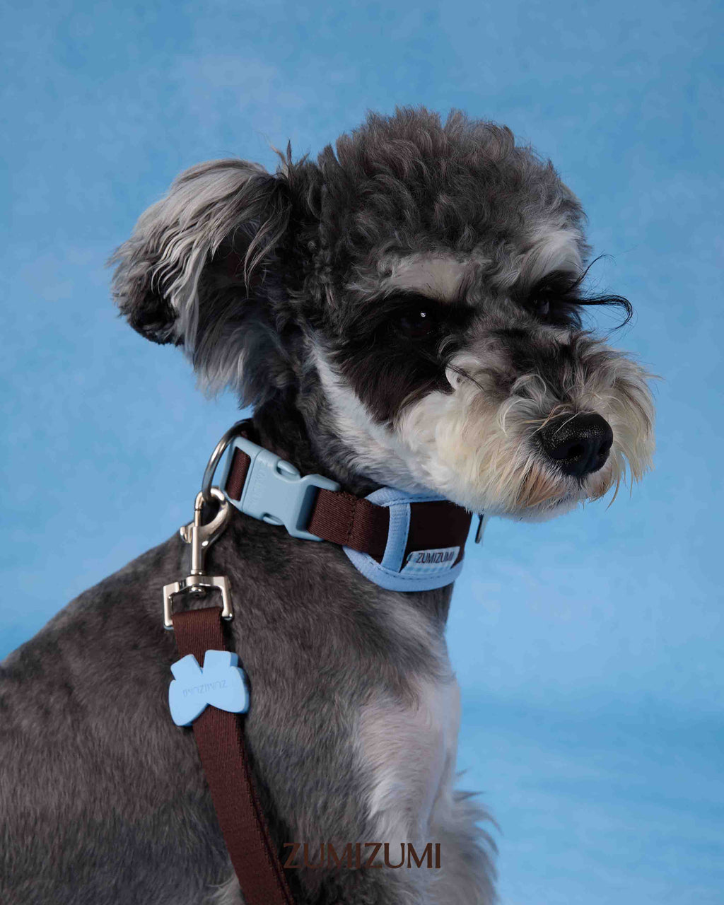 Collar -- Brown/Blue 2.0