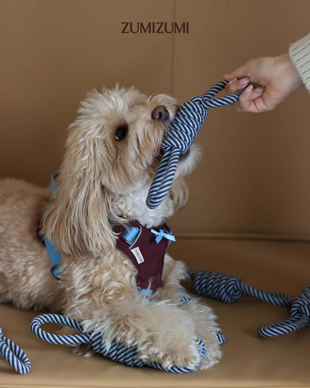 Toy -- Knotted Rope