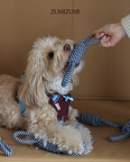 Toy -- Knotted Rope