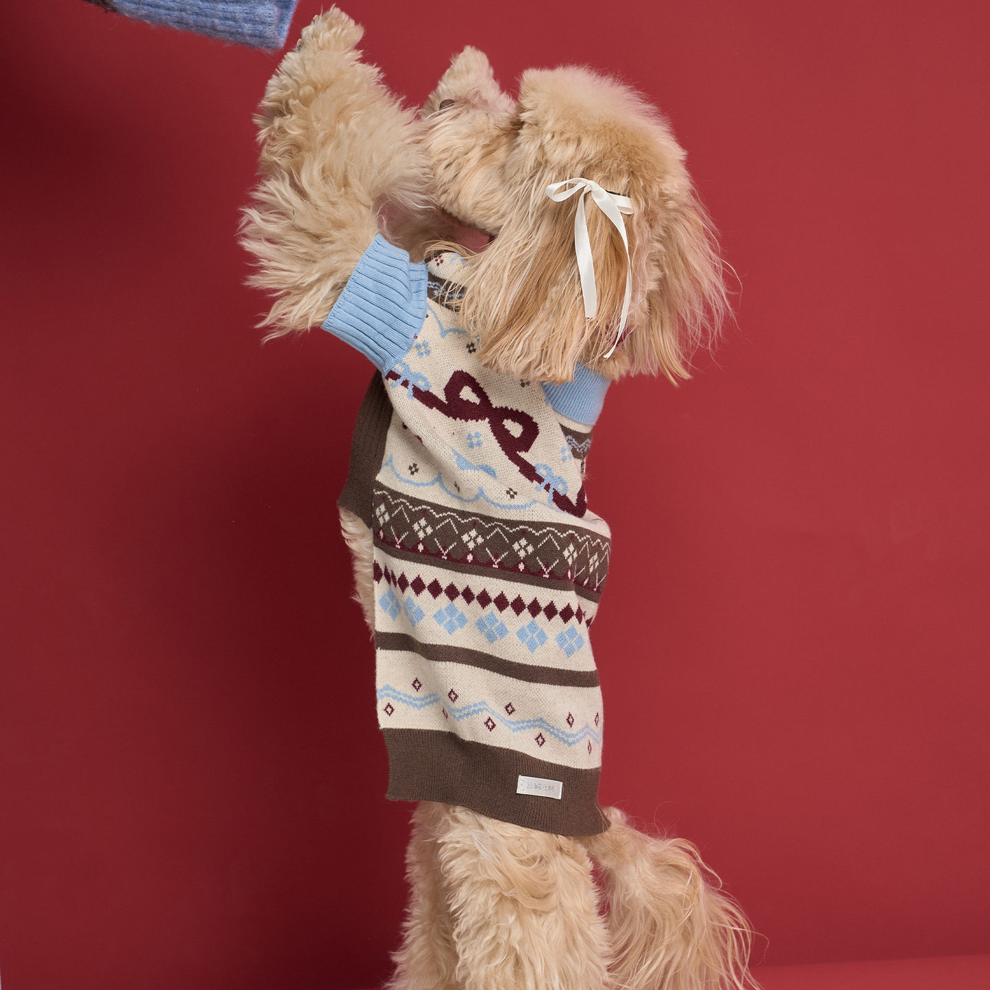 Jingle Fair Isle Knit -- Snowy