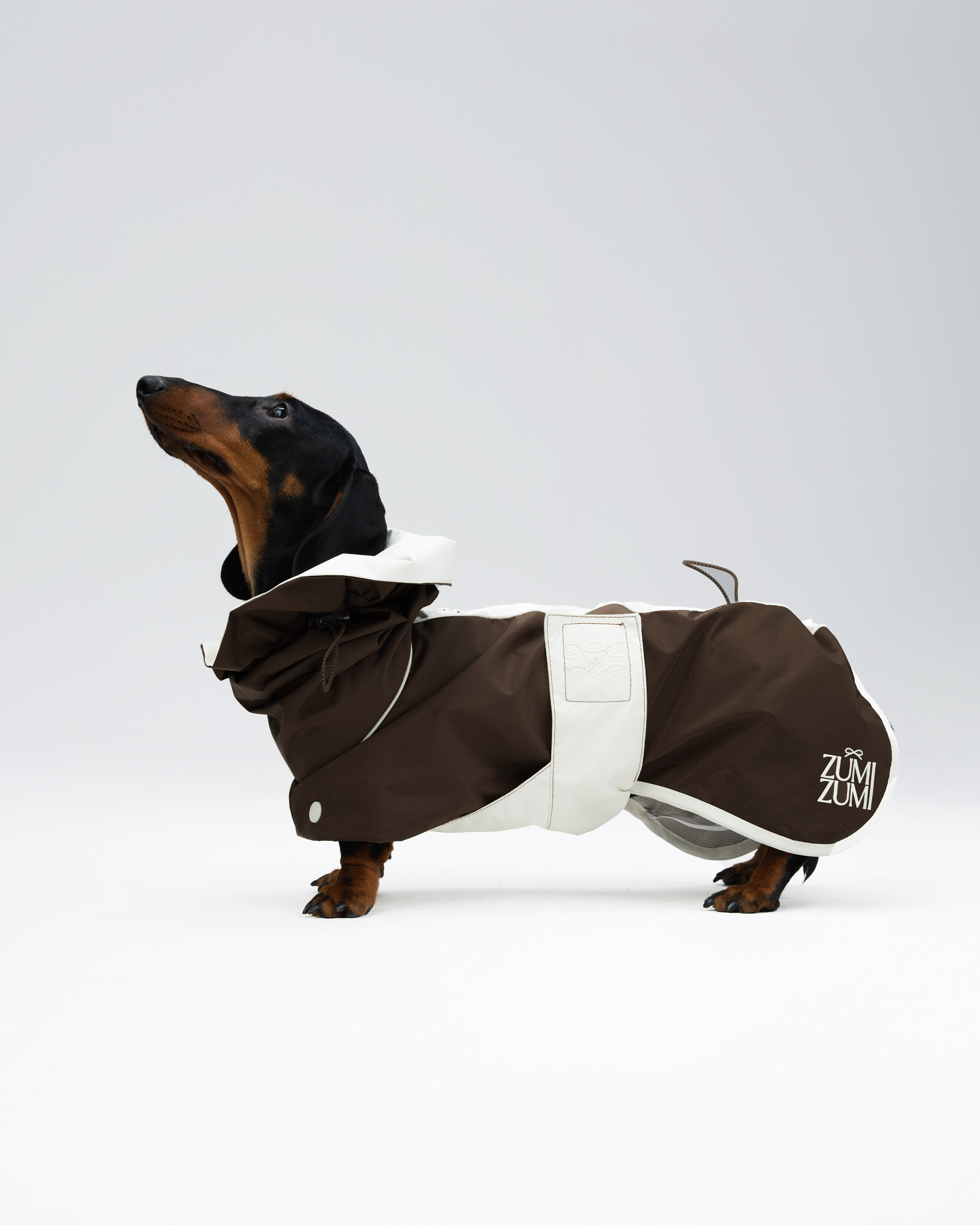 Raincoat -- Brown/White