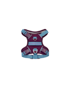 Harness -- Burgundy/Teal