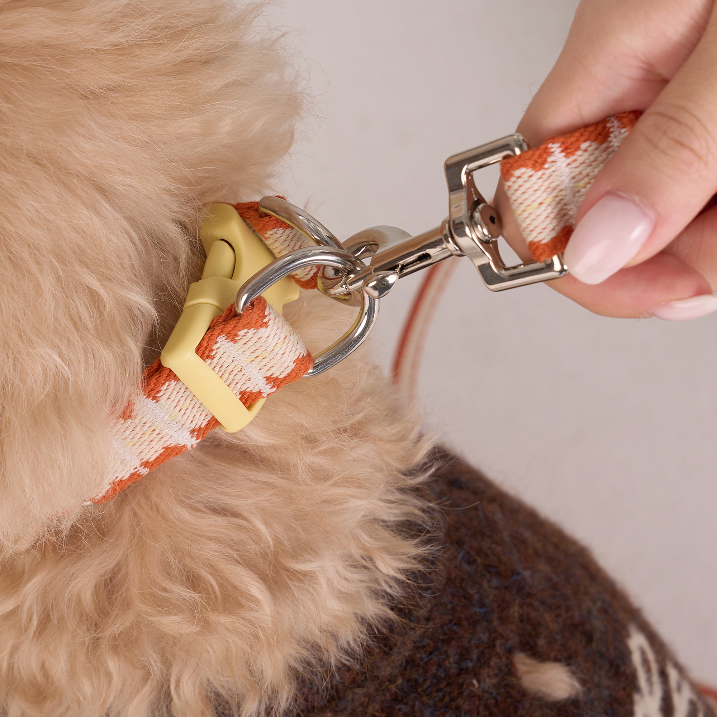 Pumpkin Biscuit Safety Collar -- Beige / Dusty Orange