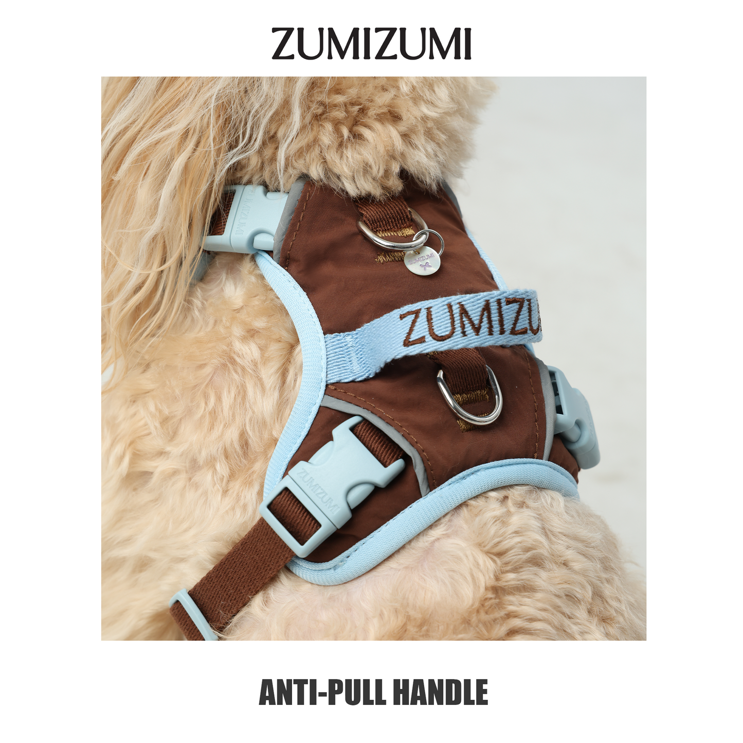 Chelsea Everyday Sporty H-shape Harness--Brown&Blue
