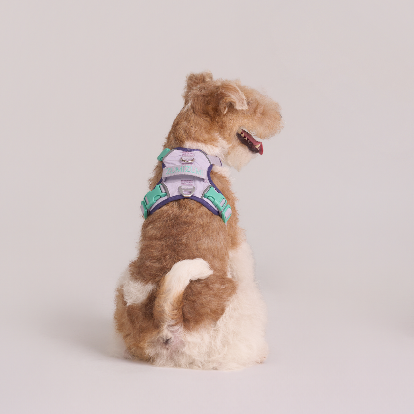 Chelsea Taro Pie Harness--Lavender / Navy