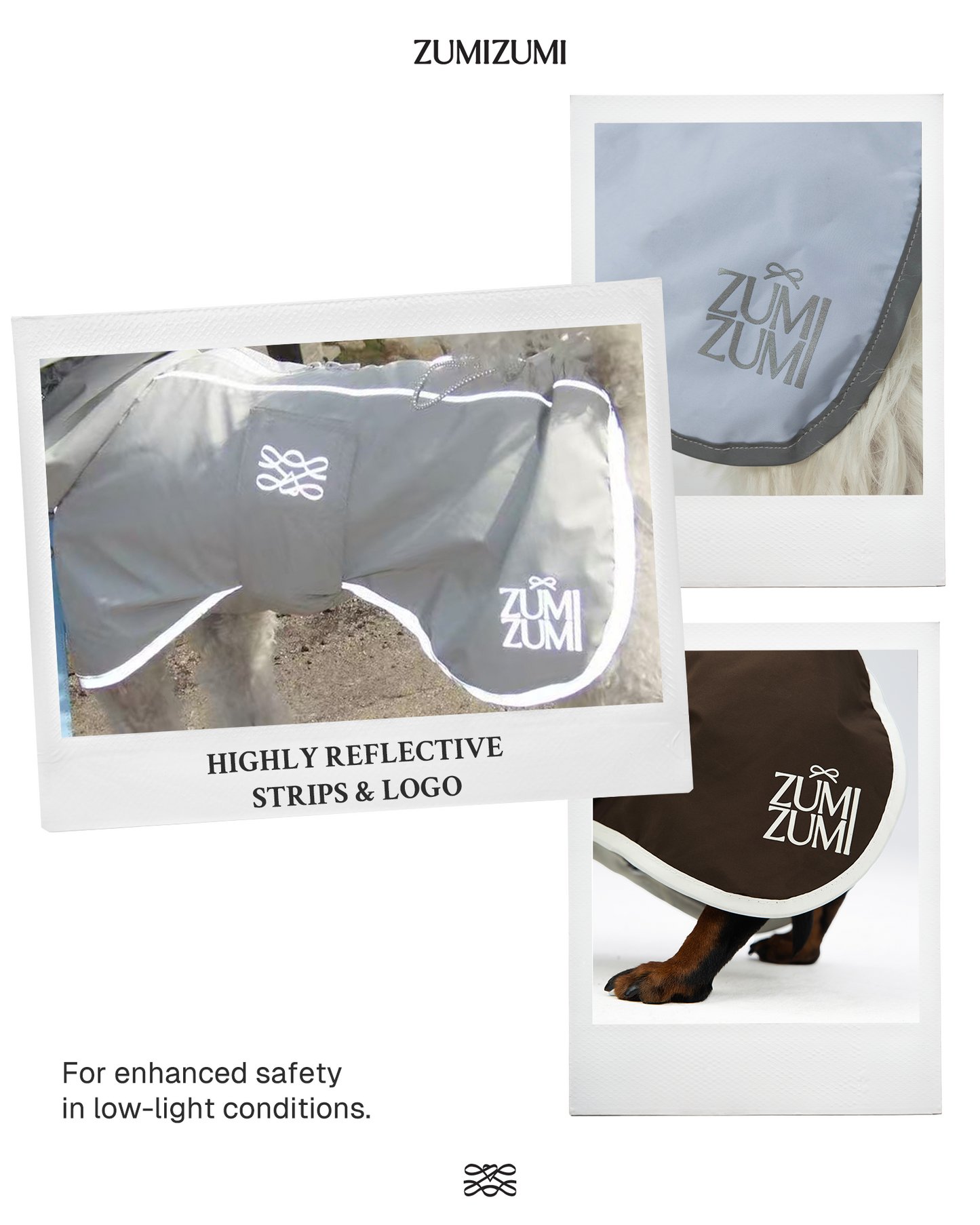 Heath Waterproof Shell Jacket -- Blue/Purple