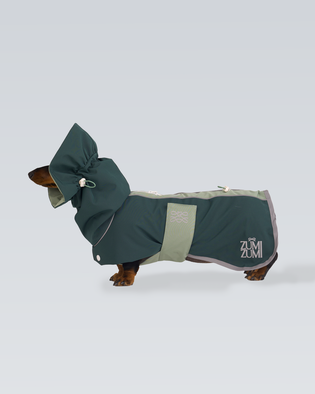 Raincoat -- Green