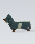 Raincoat -- Green