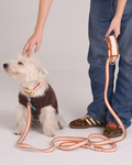 Hands-free Leash -- Beige/Dusty Orange