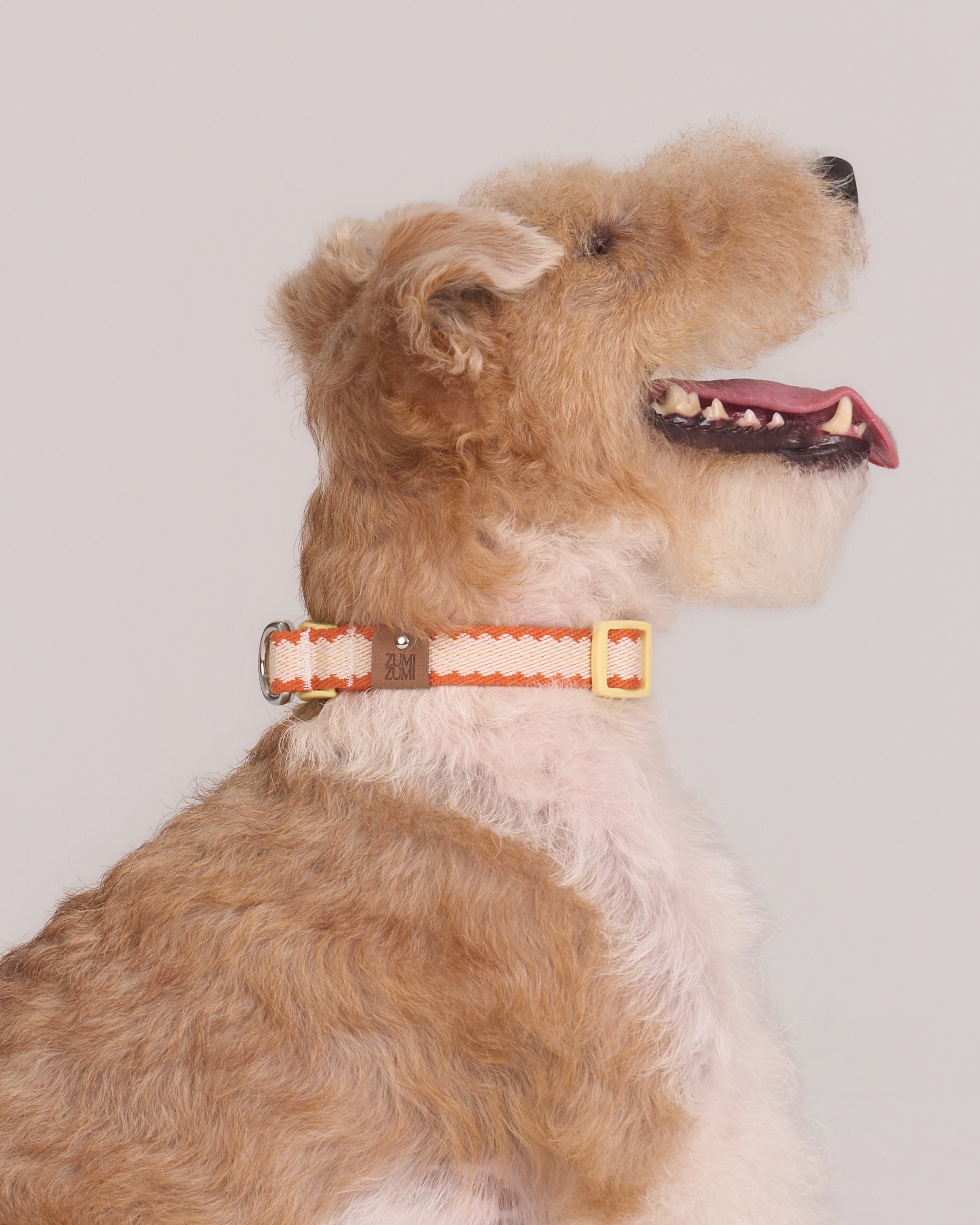 Collier de sécurité Pumpkin Biscuit -- Beige / Orange poussiéreux