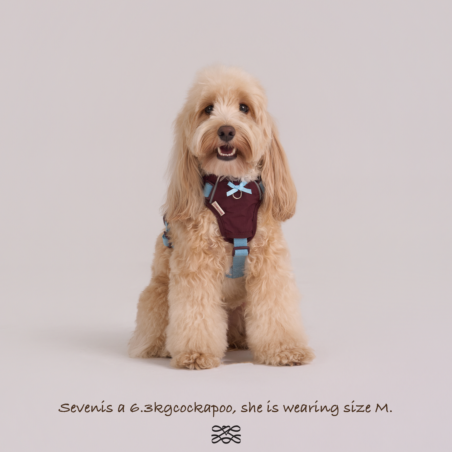 Chelsea Cherry Pie Harness--Burgundy/ Teal