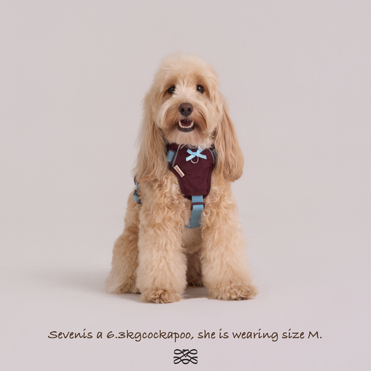 Chelsea Cherry Pie Harness--Burgundy/ Teal