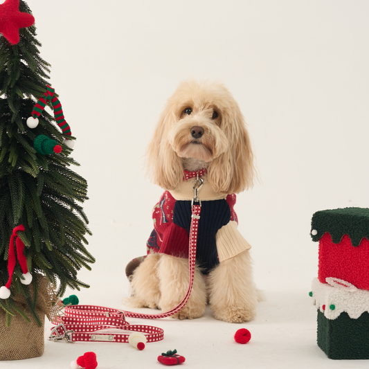 The Classic Christmas Walkie Set