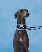 Collar -- Brown/Blue 2.0