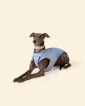 Sunblock Cooling Tee -- Blue/Brown